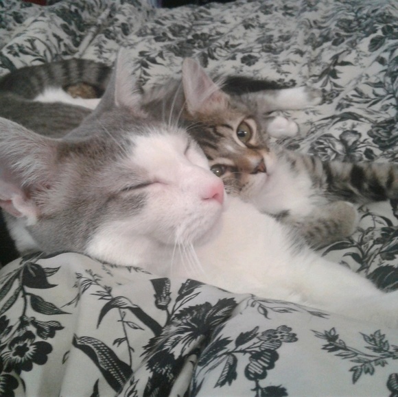 Meet your Posher, Heather - Picture 1 of 1